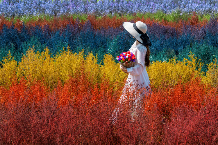 女性美丽的白衣女孩坐在彩虹花的田野里 清迈草地花园旅程