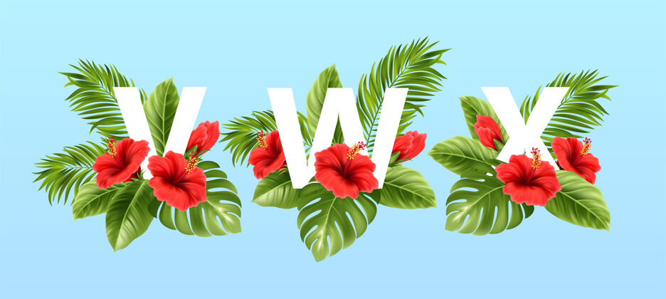 芙蓉被夏天的热带树叶和红色的芙蓉花包围的字母夏威夷排版热带夏季