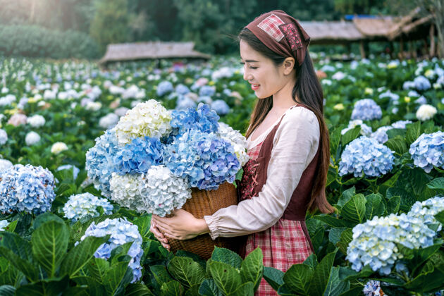开花泰国清迈 美丽的女孩在花园里欣赏盛开的蓝色绣球花多彩花园花