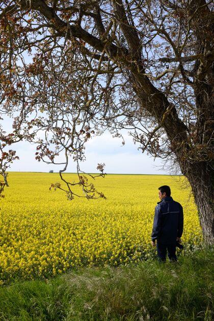 白天孤独的男人拿着相机站在一棵开着美丽黄花的树下自然培育草