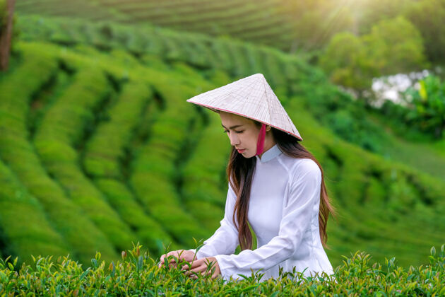 农场在茶园里穿着越南传统文化的亚洲女人旅行肖像Doi