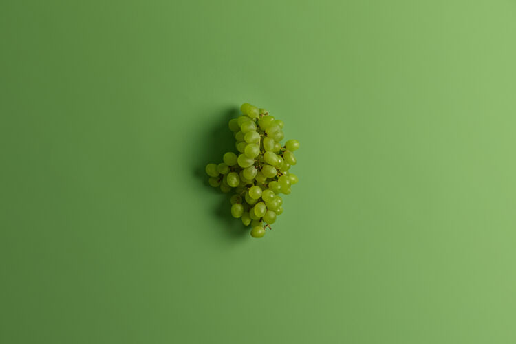 早午餐一束美味的绿色麝香葡萄 用于酿造葡萄酒或果汁收获时令非常受欢迎的丰盛水果单色拍摄选择性聚焦为您的文字空间健康饮食 美食理念葡萄藤酒厂配料