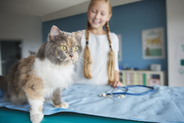 沙发女人和她的猫在兽医那里金发室内疾病