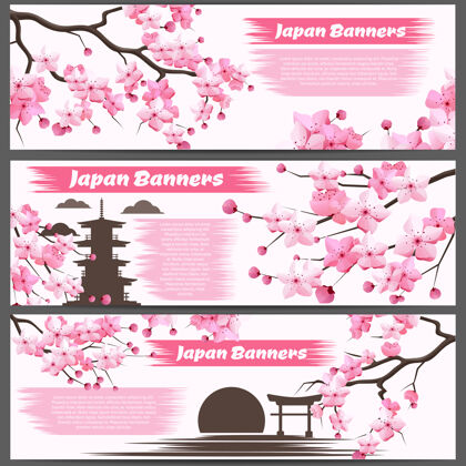 分支横幅上有樱花枝和盛开的花朵设置日本樱花