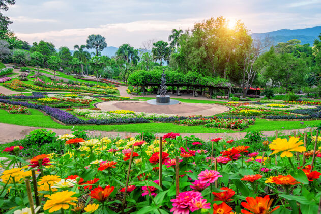多年生植物花园花卉 梅法琅花园位于泰国清莱的doitung花园交叉方式