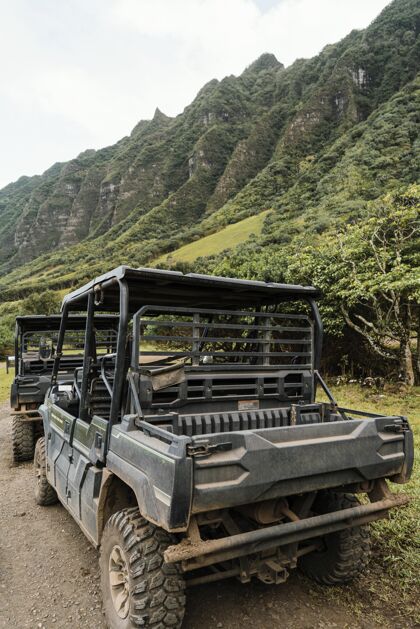 夏威夷夏威夷的吉普车旅游姿势汽车吉普车