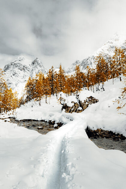 自然在多云的天空下 雪覆盖了田野和树木奥地利冬天山