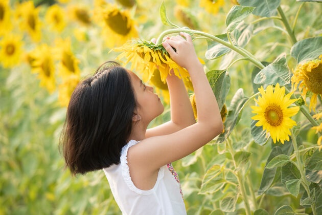绿快乐的亚洲小女孩在阳光下 在盛开的向日葵中嬉戏女孩玩耍田野