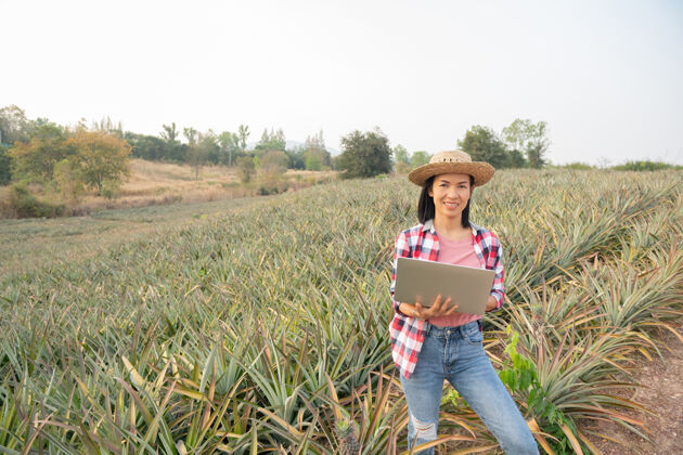 年轻亚洲女农民在农场 农业产业 农业经营理念中看到菠萝生长帽子农场蔬菜