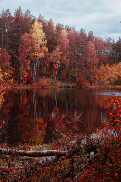 森林湖光山色 秋色如画季节秋天天空