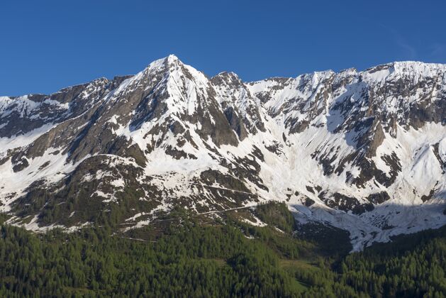 景在瑞士提契诺的蓝天下 山顶覆盖着白雪枝园光