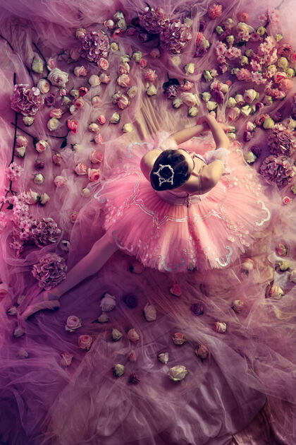 运动柔软的家美丽的年轻女子在粉红色芭蕾舞团芭蕾舞团的俯视图被鲜花包围珊瑚光下的春天的心情和温柔春暖花开 自然觉醒优雅年轻艺术家