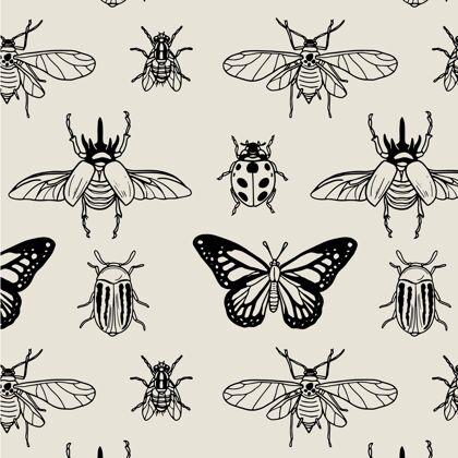 背景昆虫图案黑白相间甲虫昆虫封面