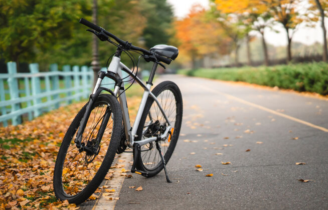 城市白色的自行车站在公园里晨练 孤独道路季节自行车