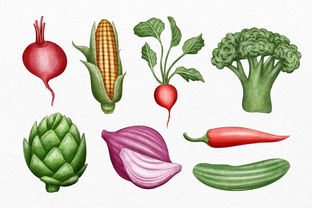 包装收集不同的蔬菜插图蔬菜美味美味