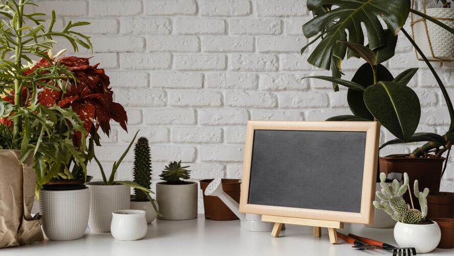 室内植物用黑板布置家庭花园树叶黑板黑板