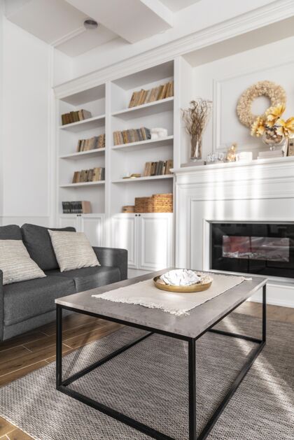 生活方式客厅设计与沙发项目元素房子