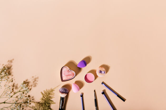 光泽化妆刷 美容搅拌机 胭脂躺在可爱的植物旁边的米色墙上粉阴影集