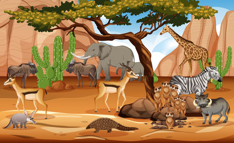 猫森林里的一群非洲野生动物树天空哺乳动物