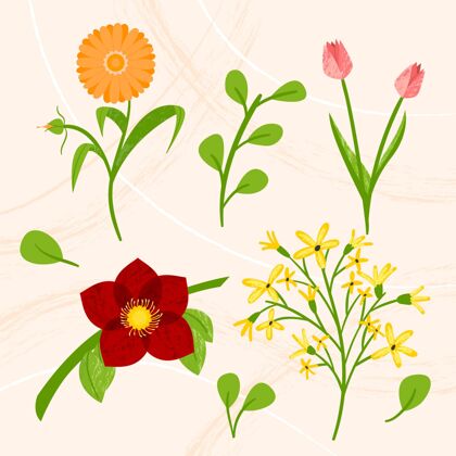 春天五彩缤纷的春花收藏手绘设置自然