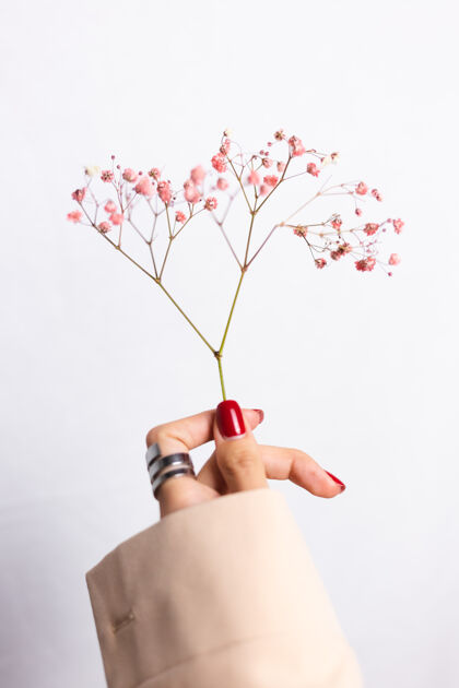 花柔美温柔的照片 女人手上戴着大戒指 红色的指甲 手上拿着可爱的粉色干花园艺植物新鲜