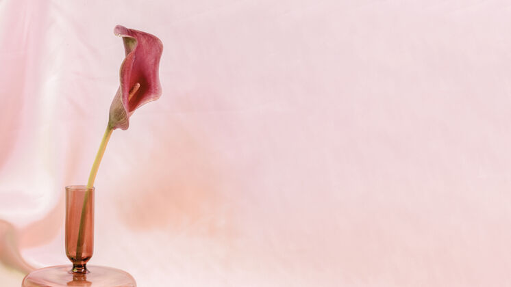 花瓶粉红色的百合花在粉红色的花瓶上植物学植物织物