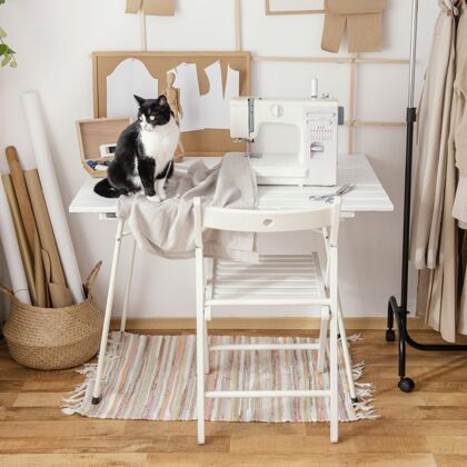 刺绣工艺缝纫机和猫裁剪工作室的正面图服装裁缝缝纫