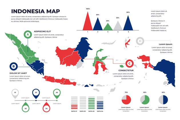过程线性印尼地图信息图形模板信息信息图数据