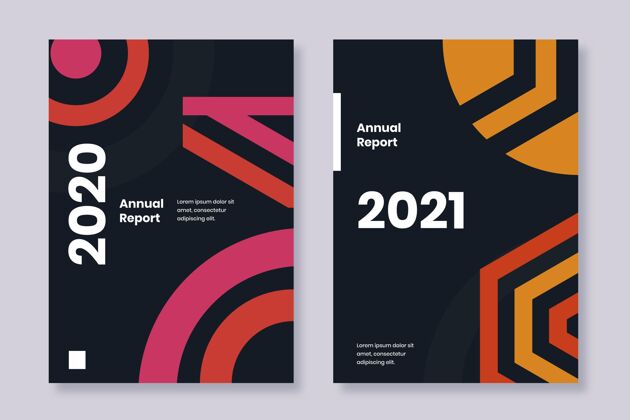 摘要2020年和2021年年度报告模板现代2021年报告