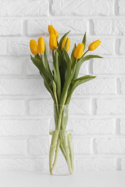 花一束郁金香在透明的花瓶里分类自然安排