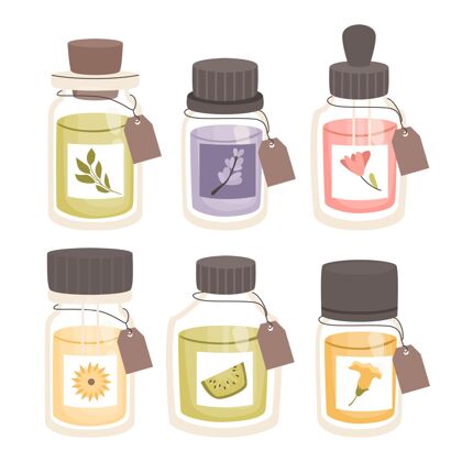 芳香疗法详细的精油药草包装与瓶子水疗插图植物