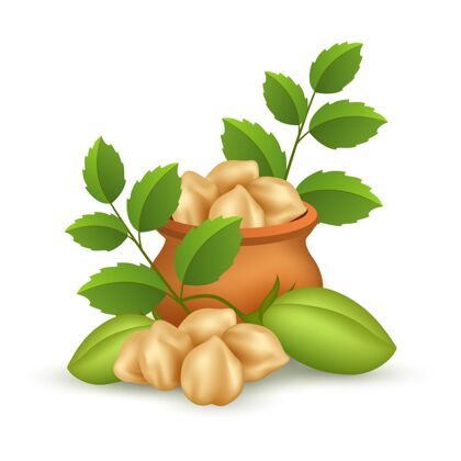 鹰嘴豆逼真的鹰嘴豆叶子食品饮食植物