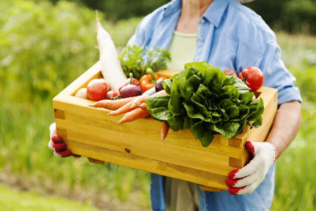 食物老妇人拿着一个盛蔬菜的盒子农场多种颜色菜园