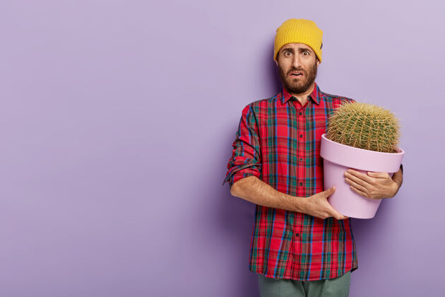 植物学不高兴的年轻男植物学家捧着一大盆仙人掌 穿着格子衬衫 戴着黄色帽子 不想关心家里的植物 用仿制品顶着紫罗兰墙不高兴不高兴持有