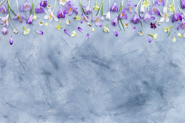 没有人灰色和白色纹理的背景与紫色和白色的春花边界春天概念绿色