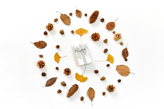 礼品一个礼物的顶视图在一个花环的中间 由秋天的叶子和针叶树圆锥上的白色物体季节植物