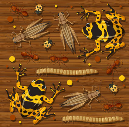 苍蝇在木制墙纸背景上设置不同的昆虫动物小野生