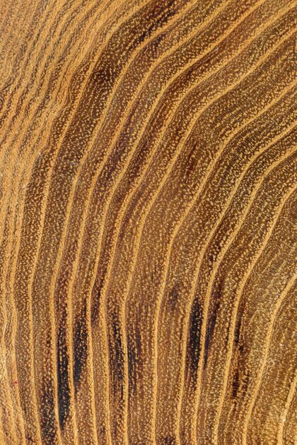 生长木环特写镜头向上平面木材