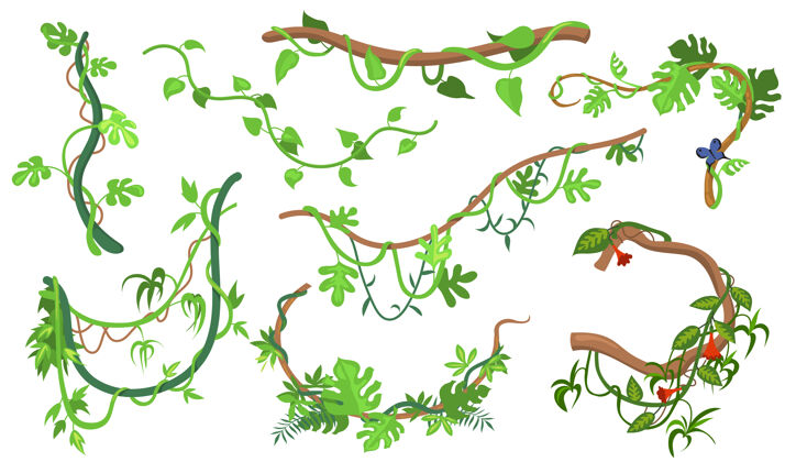 灌木彩色藤本植物或丛林植物平面设置网页设计热带藤蔓和树木的卡通攀缘树枝孤立矢量插图收集雨林 绿色和植被的概念绿色包装花