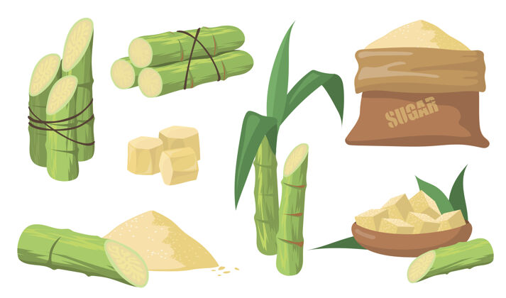 竹子甘蔗和糖集绿色茎包装 植物与叶 袋与红糖隔离在白色背景上插图收集农业 朗姆酒 白酒生产理念绑袋甘蔗