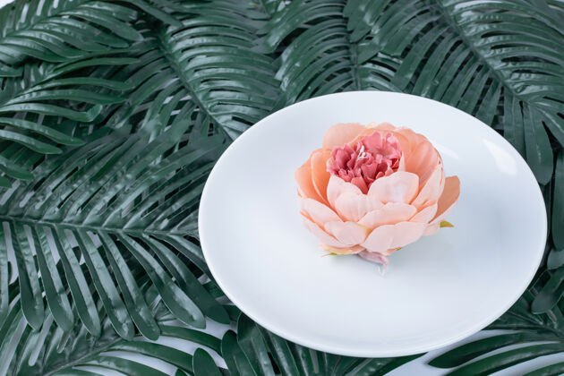 假白色盘子上的一朵玫瑰 叶子是假的植物板绿