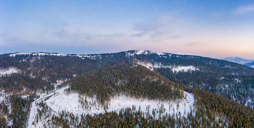 环境鸟瞰迷人的风景如画的细长高大的冷杉树生长在雪山上 在阳光明媚的冬天和晴朗的天在蓝天下空中雪阳光