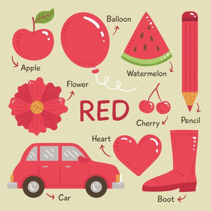 学习红色物体和词汇集合包装锻炼可爱