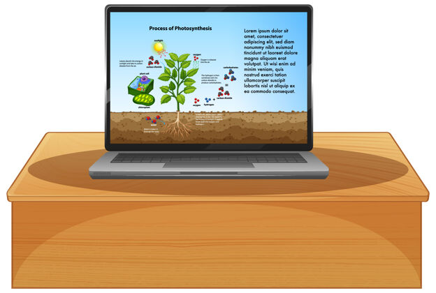 笔记本电脑笔记本电脑屏幕上的生物卡通生长植物学