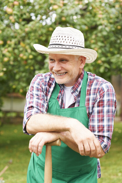 菜园微笑成熟的男人在花园工作防护老化自然