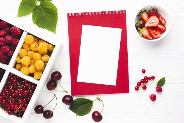 营养美味水果概念模型健康水平厨房
