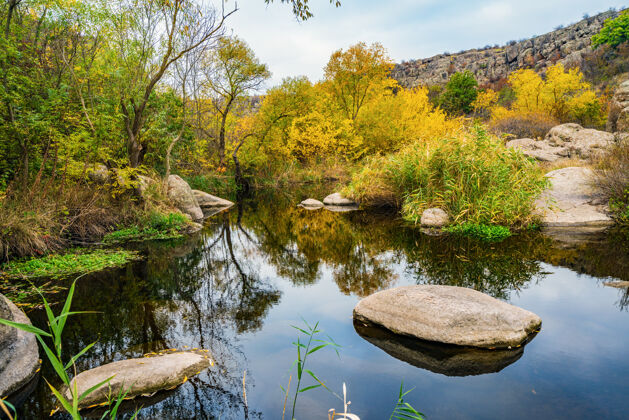 秋天在风景如画的乌克兰 一条又快又浅 清澈的小溪在光滑潮湿的大石头中间流过 石头周围是在风中摇曳的又高又干的石块流动景观山