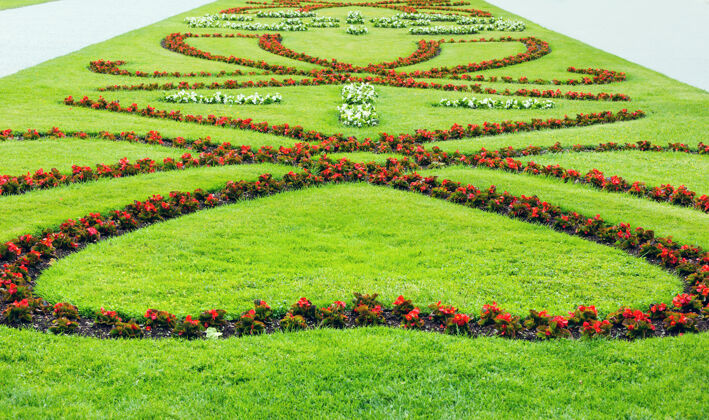 排列夏日城市公园草坪上盛开的红花装饰花卉绿化