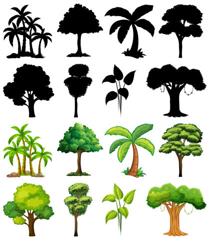 剪影一套植物和树木的轮廓卡通阴影棕榈