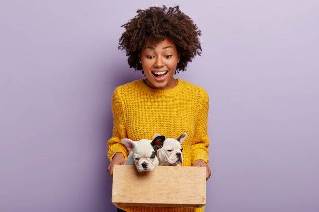 爱快乐美丽的女人拿着木箱和两只可爱的纯种小狗礼物品种狗